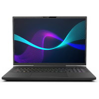 Infinity N7-13R9A-999 17.3" WQXGA 240Hz Core i9-13900HX 32GB RTX 4090 1TB Gaming Laptop