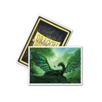 Sleeves - Dragon Shield - Box 100 - MATTE Art - Rayalda