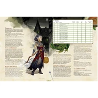 D&D Players Handbook