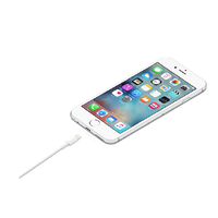 Genuine Apple Lightning To USB Cable (1m)