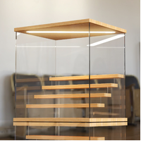 Acrylic Figure/Model Display Box with USB Lighting (Removable 5 Tier Stand)