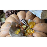 Honey Buzz - Standard Edition