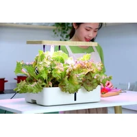 Hydroponics Growing System Water method