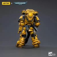 Warhammer Collectibles: 1/18 Scale Imperial Fists Heavy Intercessors 2