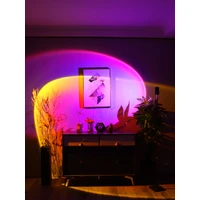 Rainbow Purple Blue Projection Led Lamp 150-180cm (Round Head)