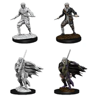 Pathfinder Deep Cuts Unpainted Miniatures Male Elf Rogue