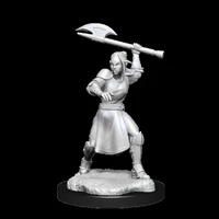 Critical Role Unpainted Miniatures Half-Elf Echo Knight and Echo Female