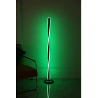 Minimalist floor lamp RGB+Alexa led corner standing lamp Double Twisted Design Black