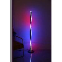 Minimalist floor lamp RGB+Remote led corner standing lamp Double Twisted Design Black