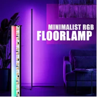 Minimalist floor lamp RGB+Remote led corner standing floor lamp Steel Made -Black