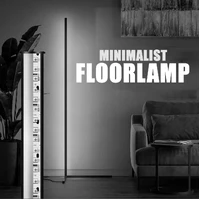 Minimalist floor lamp dimming + remote led corner standing lamp led floor lamp