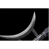 Three Kingdom Lv Bu's Dragon-Slaying Double Crescent Fangtian Halberd