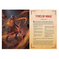 D&D Dungeons & Dragons Wizards & Spells A Young Adventurers Guide
