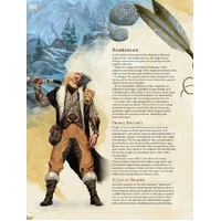 D&D Players Handbook