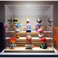 Anti-Dust 3 Tier Acrylic Display Box with USB Lighting