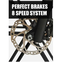 Engwe Engine PRO 1000W(Peak Power) Off Road Electric Bike Grey