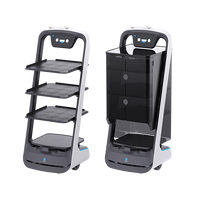 Pudubot Dish Cabinet