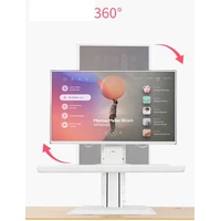 North Bayou Sit/Standing Gas Lift Ergonomic Workstation Desk with Monitor VESA Mount