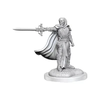 D&D Nolzurs Marvelous Miniatures Death Knights