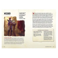 D&D Dungeons & Dragons Wizards & Spells A Young Adventurers Guide