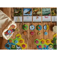 Cascadia Board Game