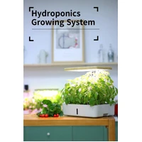 Hydroponics Growing System Traditional Soil method