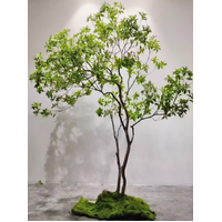 Artificial Pieris Tree 1.8M