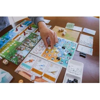 Wingspan Asia Expansion