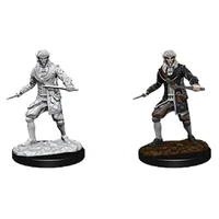 Pathfinder Deep Cuts Unpainted Miniatures Male Elf Rogue