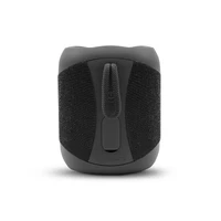 BlueAnt X1i Portable 14-Watt Bluetooth Speaker - Slate Black