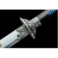 Dragon Soul Loong & Tiger Saber