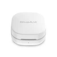 BlueAnt Pump Air ANC TWS Wireless Earbuds - White