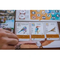 Wingspan Asia Expansion