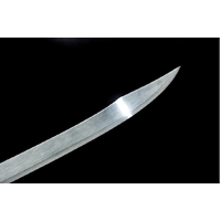 Dragon Soul Loong & Tiger Saber