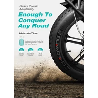 Engwe Engine PRO 1000W(Peak Power) Off Road Electric Bike Grey