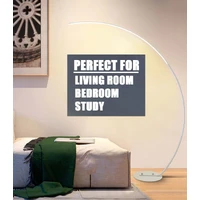 Minimalist Curve Dimming Floor Lamp Remote Control - Black