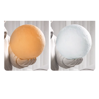 Astronaut Display Figure with Touch Moon Lamp