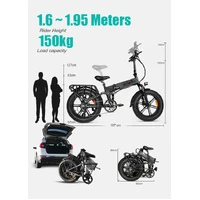 Engwe Engine PRO 1000W(Peak Power) Off Road Electric Bike Grey