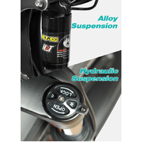 Engwe Engine PRO 1000W(Peak Power) Off Road Electric Bike Grey