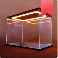 LED Acrylic Display Case for Figures & Models