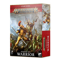 Warhammer Age of Sigmar Warrior Starter Box