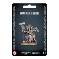 Warhammer 40,000 Grey Knights Grand Master Voldus