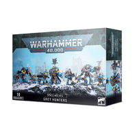 Warhammer 40,000 Space Wolves Pack/Grey Hunters
