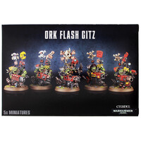Warhammer 40,000  Ork Flash Gitz