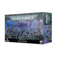 Warhammer 40,000 Grey Knights Strike Squad