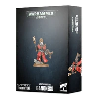Warhammer 40,000 Adepta Sororitas Canoness