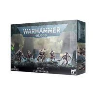 Warhammer 40,000 Necrons Flayed Ones