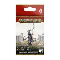 Warhammer Age of Sigmar Cities of Sigmar Amethyst Knellmage