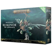 Warhammer Age of Sigmar: Easy to Build: Reikenor The Grimhailer