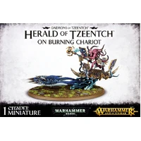 Warhammer Age of Sigmar: Daemons of Tzeentch Herald on Burning Chariot